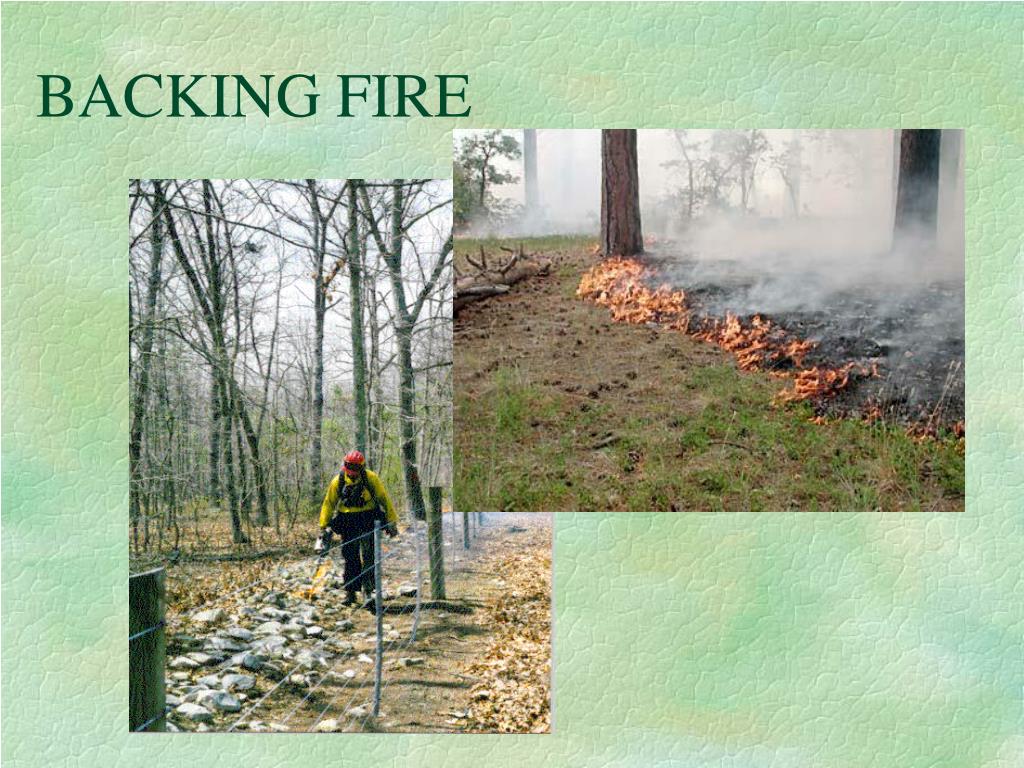 PPT Sam Lindblom Fire Program Manager PowerPoint Presentation, free download ID6311774