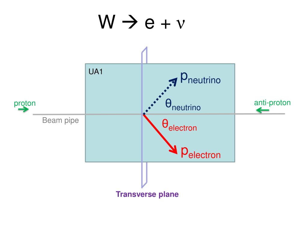 PPT Electroweak bosons PowerPoint Presentation, free download ID