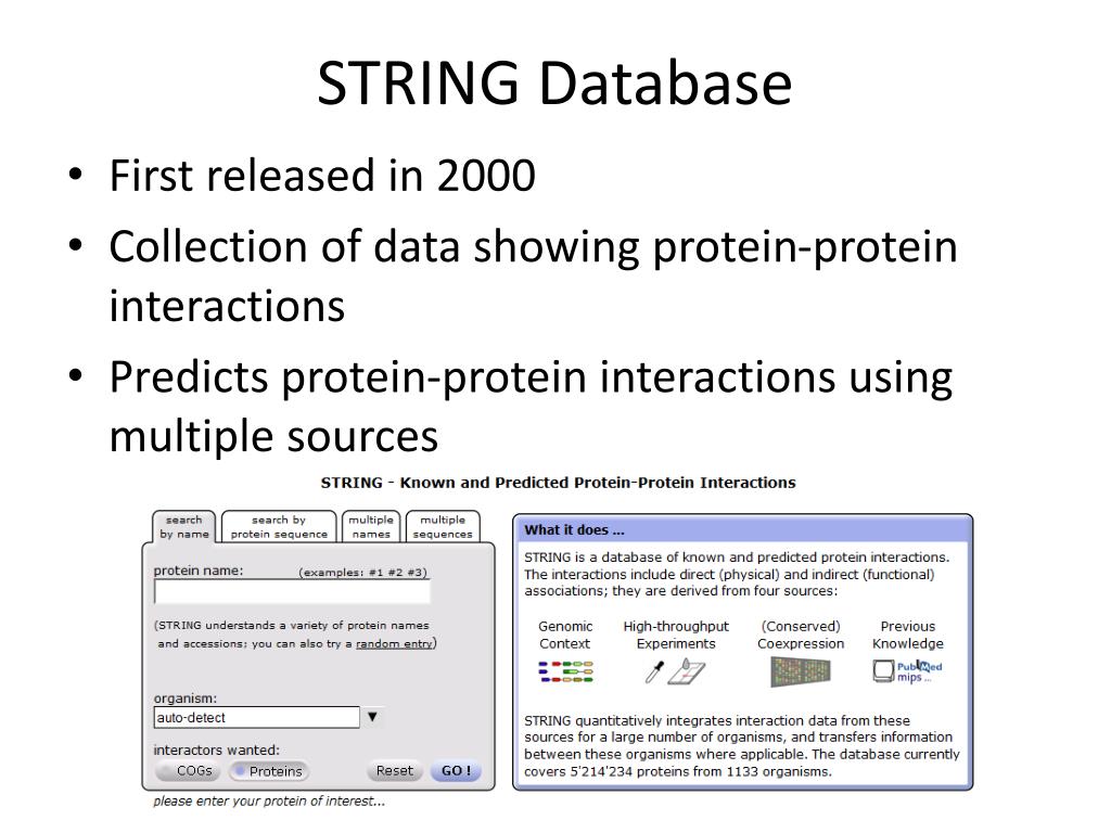 PPT An Introduction to the GO Database, STRING Database, and Stem