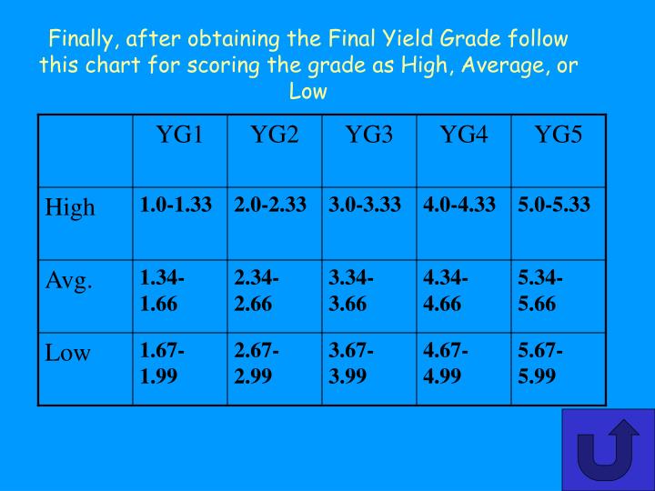 PPT Beef Carcass Yield Grading CDE Practice Based on the 2003