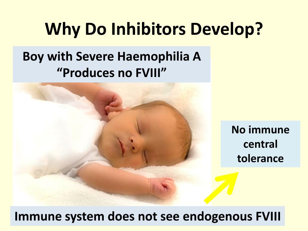 PPT Prevention of Inhibitors in Hemophilia PowerPoint Presentation