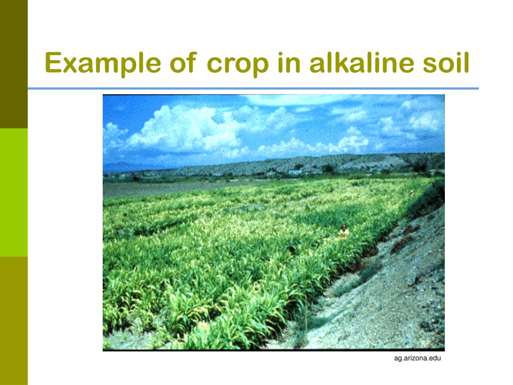 PPT Soil Testing and Analysis Nutrient Management Basics PowerPoint