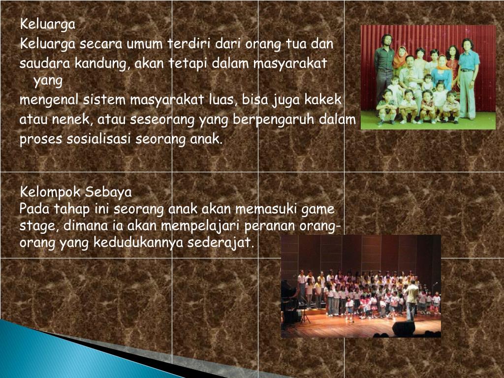 PPT PeTa PowerPoint Presentation, free download ID6327768