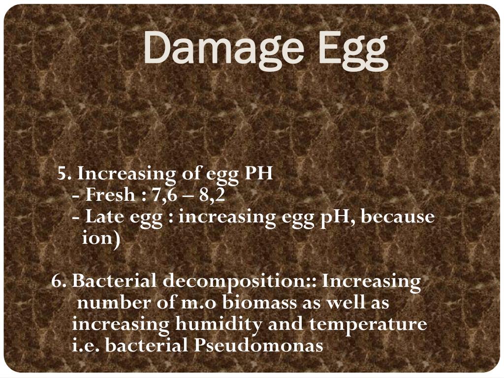 PPT QUALITY OF EGG PowerPoint Presentation, free download ID6334061