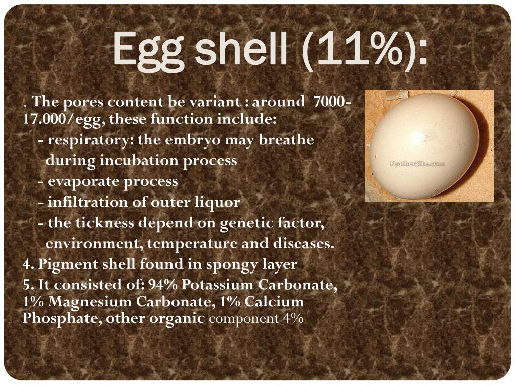 PPT QUALITY OF EGG PowerPoint Presentation, free download ID6334061