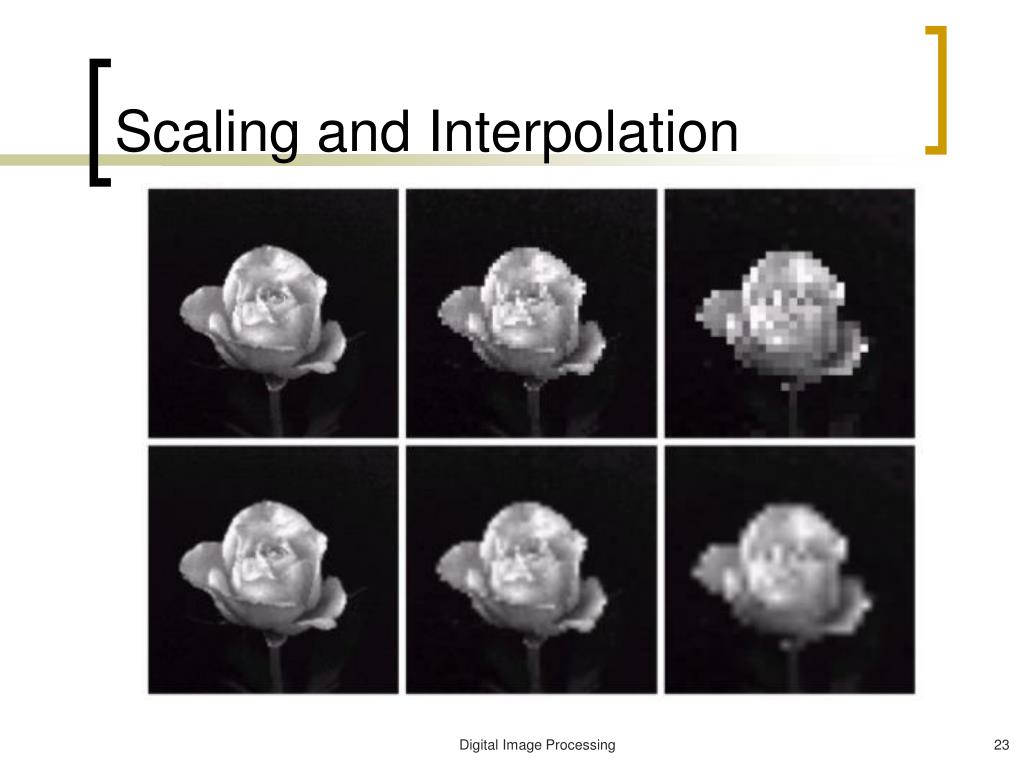 PPT Digital Image Fundamentals PowerPoint Presentation, free download