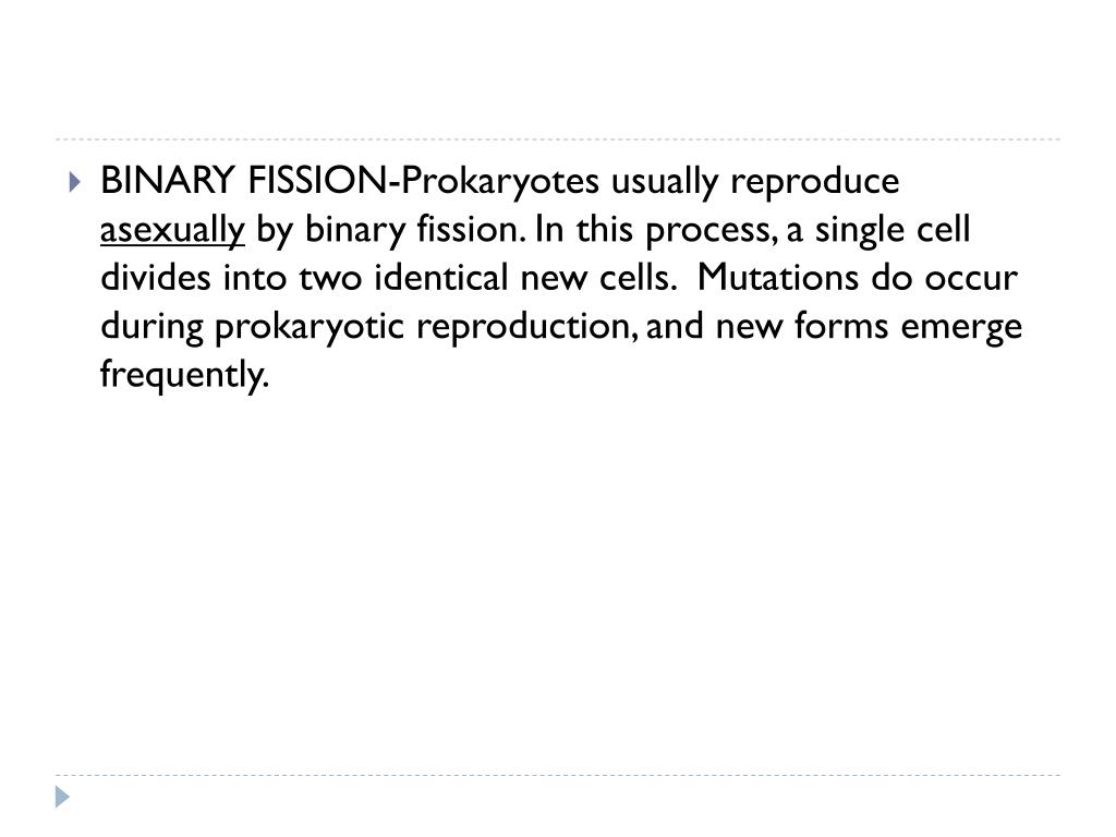 PPT CH 20 BACTERIA AND VIRUSES PowerPoint Presentation, free download
