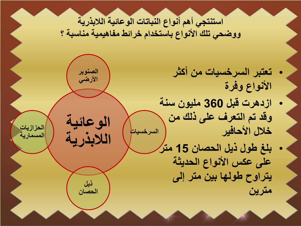 PPT النباتات الوعائية اللا بذرية PowerPoint Presentation