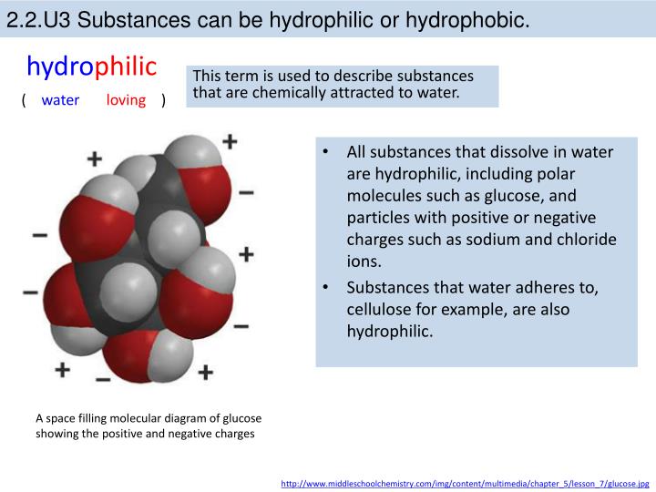 PPT 2.2 Water PowerPoint Presentation ID6361297