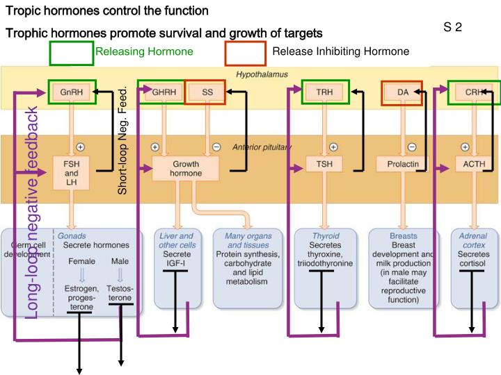 PPT 1QQ8 1030 PowerPoint Presentation ID6361544