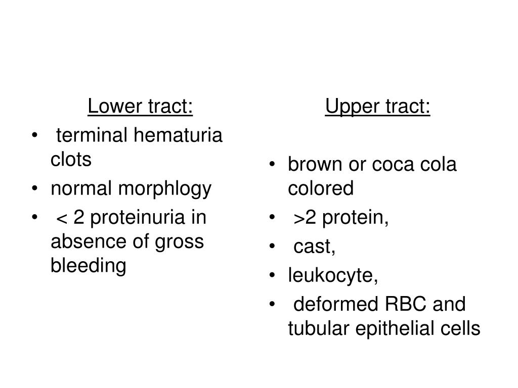 PPT Hematuria The approach to PowerPoint Presentation, free download