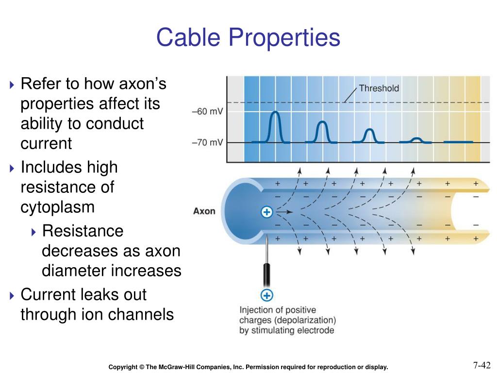 PPT Chapter 7 PowerPoint Presentation, free download ID6368472