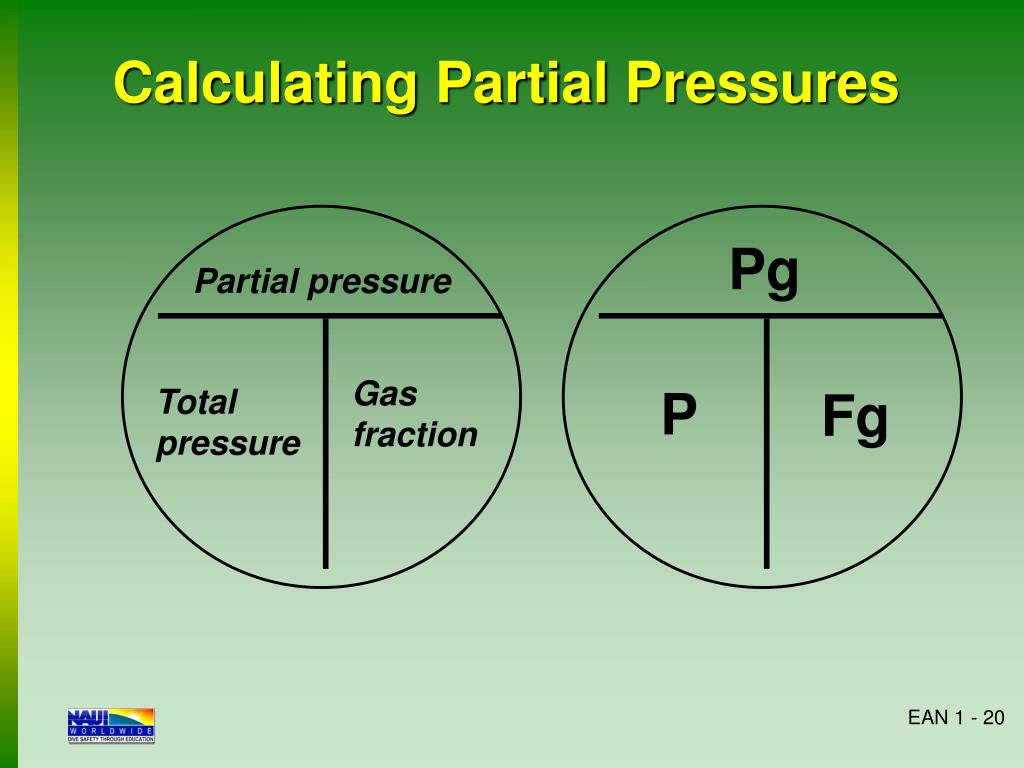 PPT NAUI Nitrox Diving With Oxygen Enriched Air PowerPoint