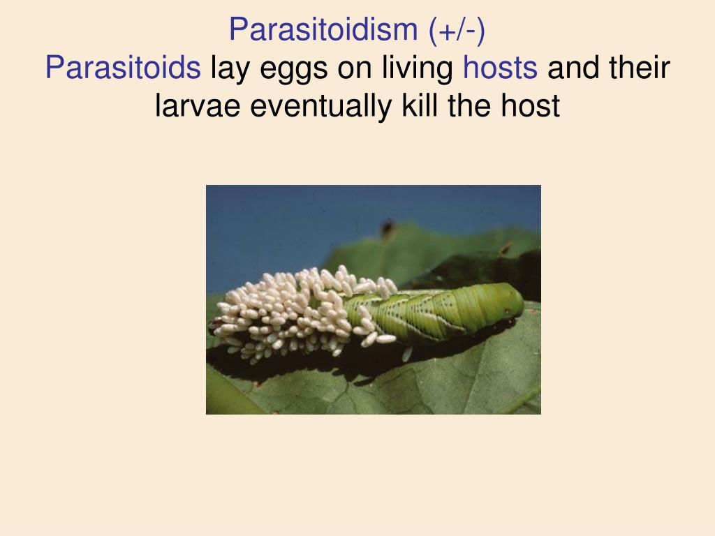 PPT Community Ecology PowerPoint Presentation, free download ID6374998