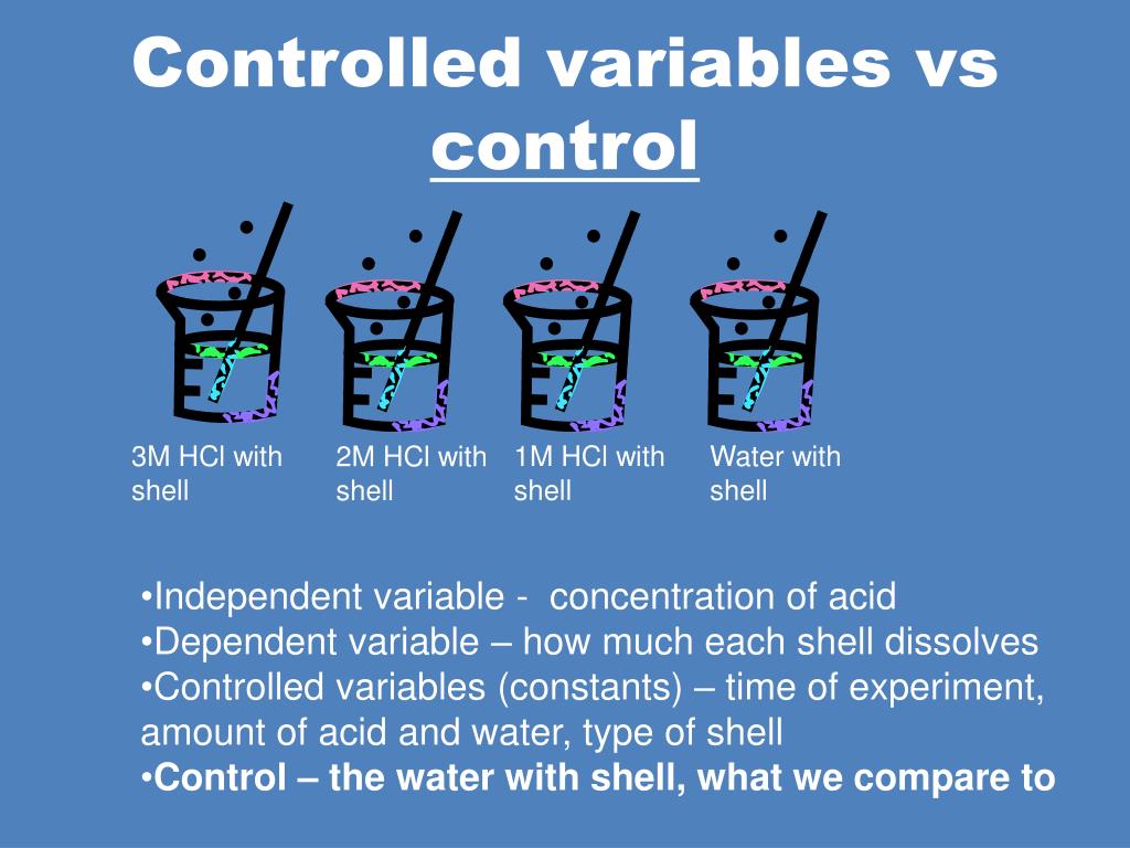 PPT The Scientific Method PowerPoint Presentation, free download ID