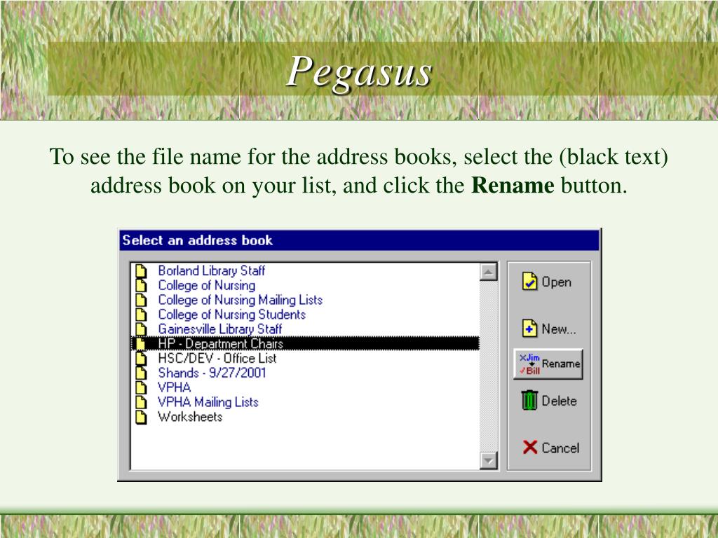 PPT Conversion of Pegasus Address Books to GroupWise PowerPoint