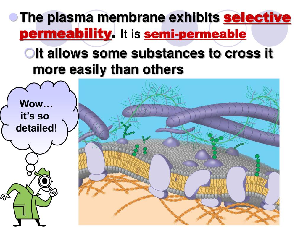 PPT Chapter 7 PowerPoint Presentation, free download ID6402527