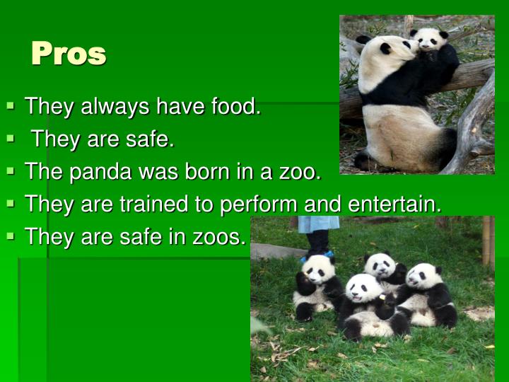 PPT Zoos Good or Bad? PowerPoint Presentation ID6405956