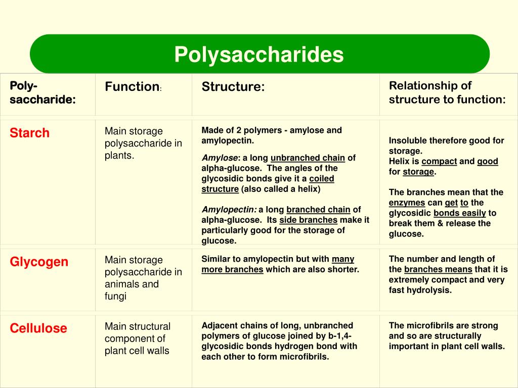 PPT Biological Molecules PowerPoint Presentation, free download ID