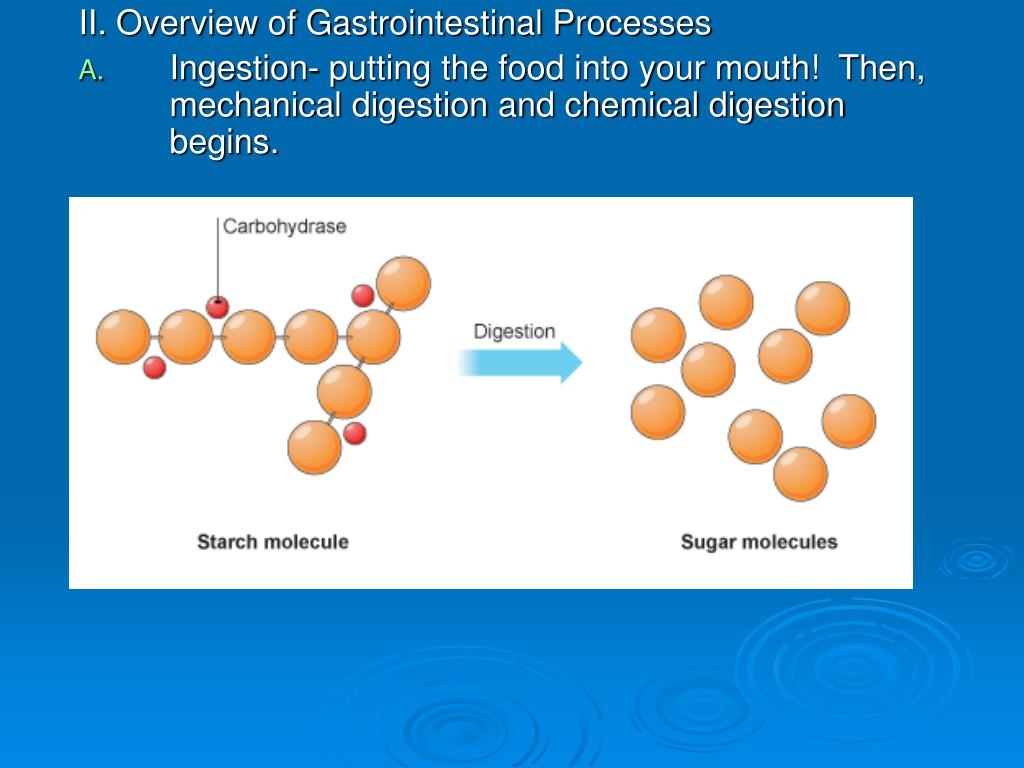 PPT youtube/watch?v=N2diPZOtty0 Recap of supersize me PowerPoint