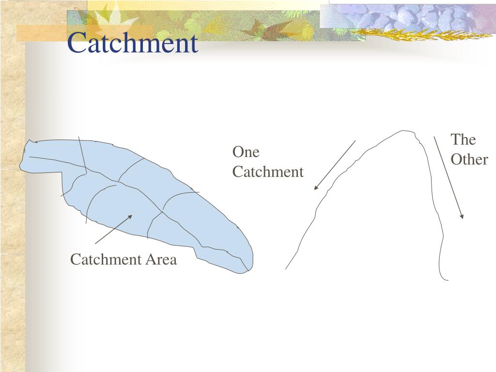 PPT STREAM FLOW AND RAINFALL RUNOFF PowerPoint Presentation, free