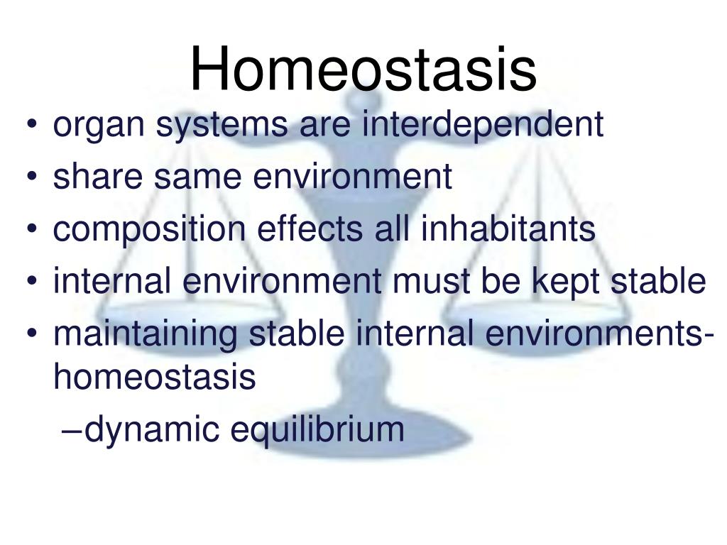 PPT Thermoregulation PowerPoint Presentation, free download ID6419266