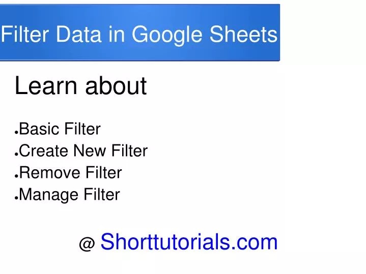 PPT Filter Functio in Google Docs Spreadsheet PowerPoint Presentation