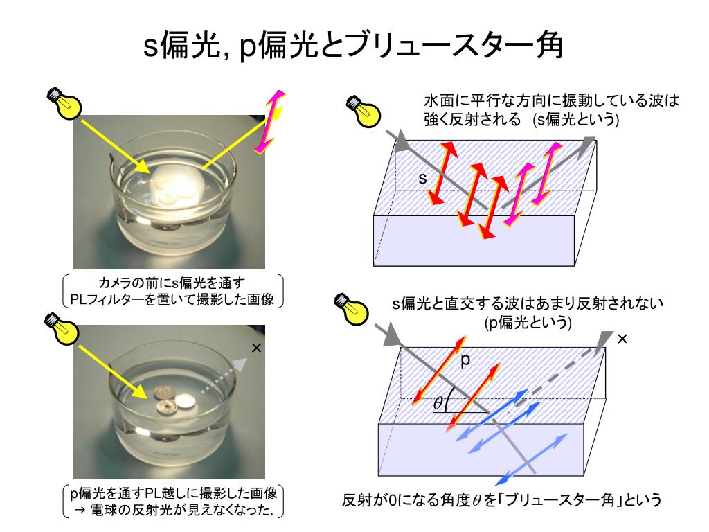 PPT 基礎ゼミ資料 PowerPoint Presentation, free download ID