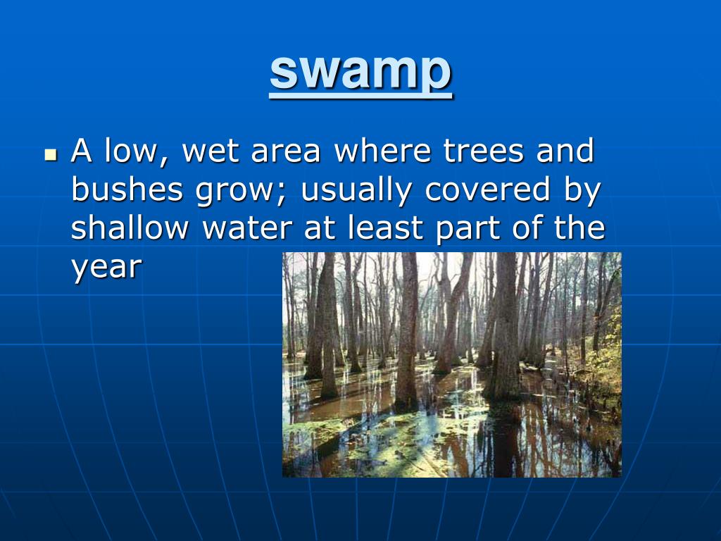 Swamp Meaning