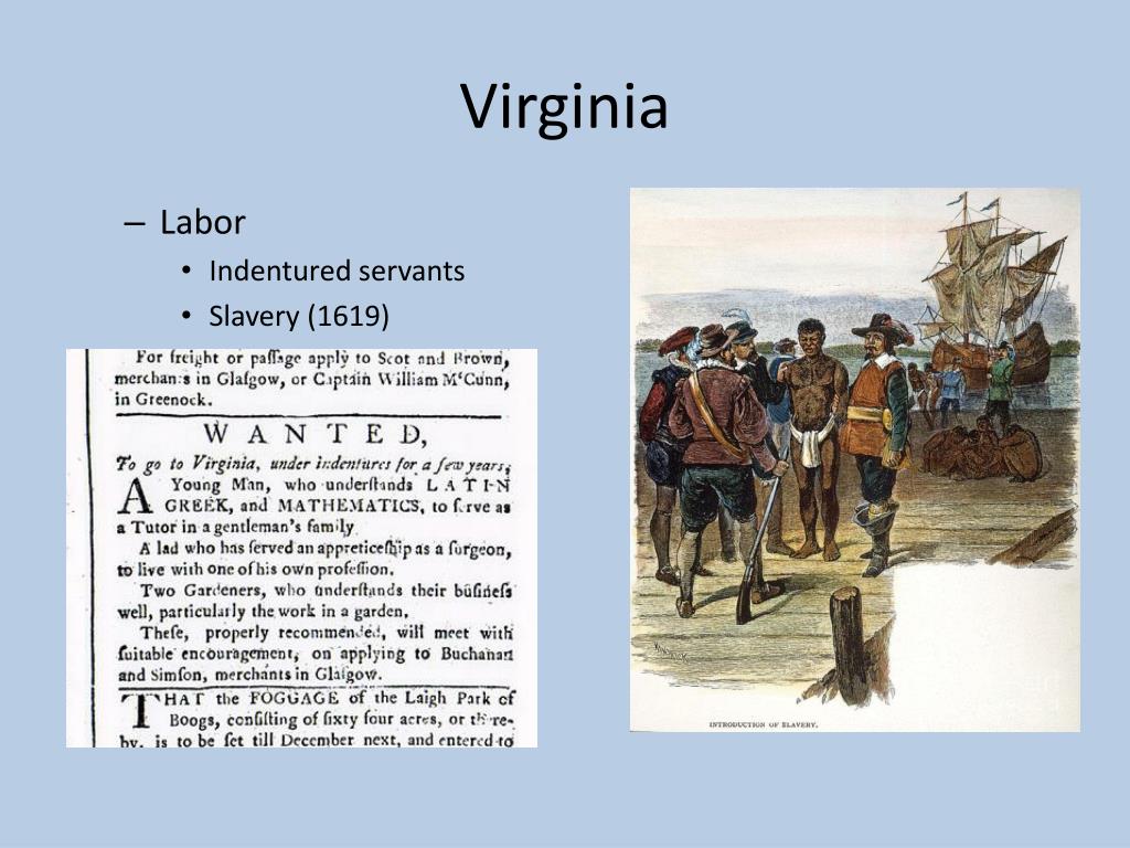 PPT Chesapeake Colonies PowerPoint Presentation, free download ID6446148