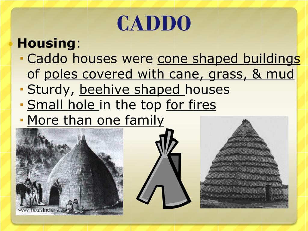 PPT Texas Native A mericans Chapter 2 PowerPoint Presentation, free