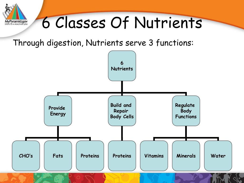 PPT Nutrition Basics PowerPoint Presentation, free download ID6457868