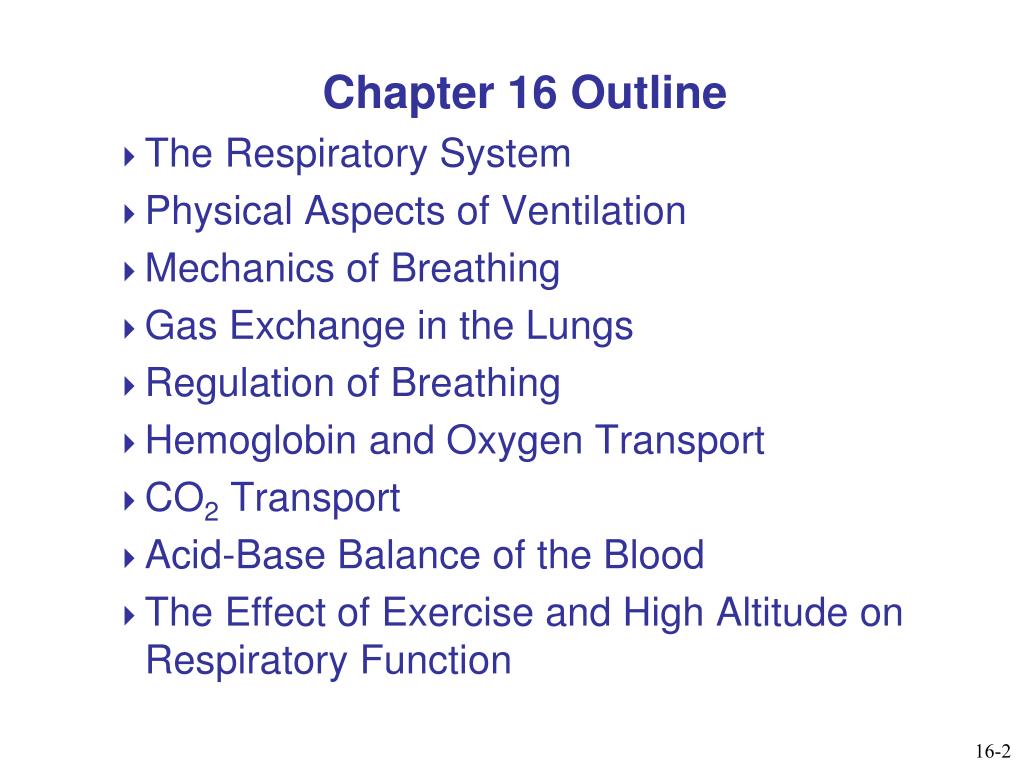 Chapter 16-The Respiratory System.pdf Chapter 16-The...