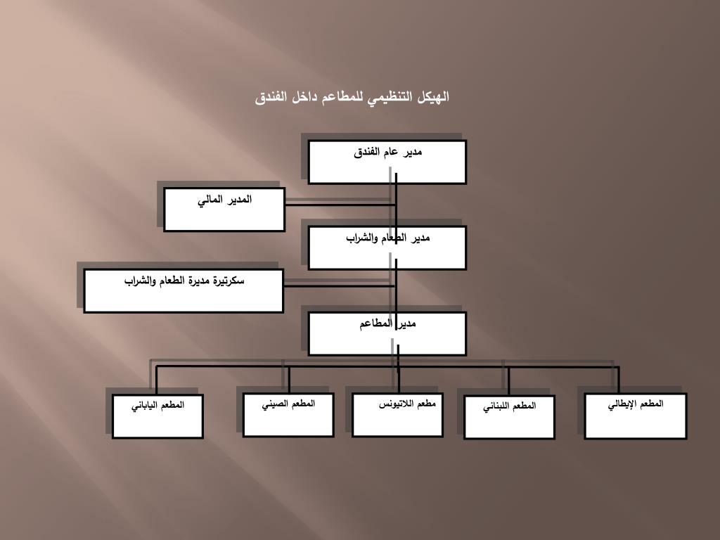 نموذج هيكل تنظيمي جاهز وورد كونتنت