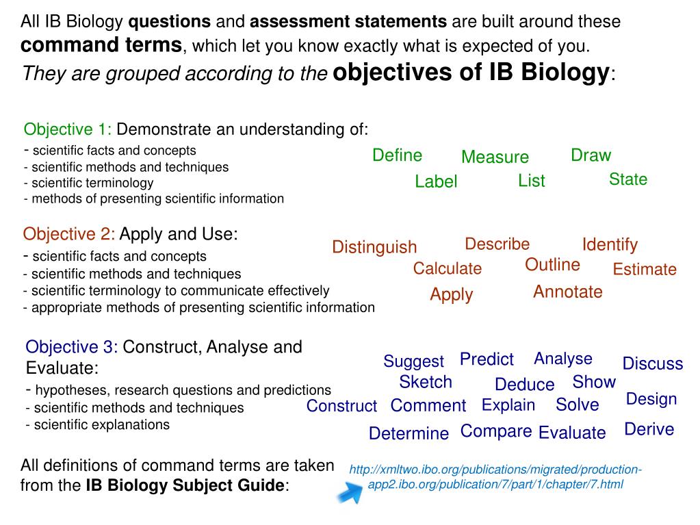 PPT IB Biology Exam Guide PowerPoint Presentation, free download ID