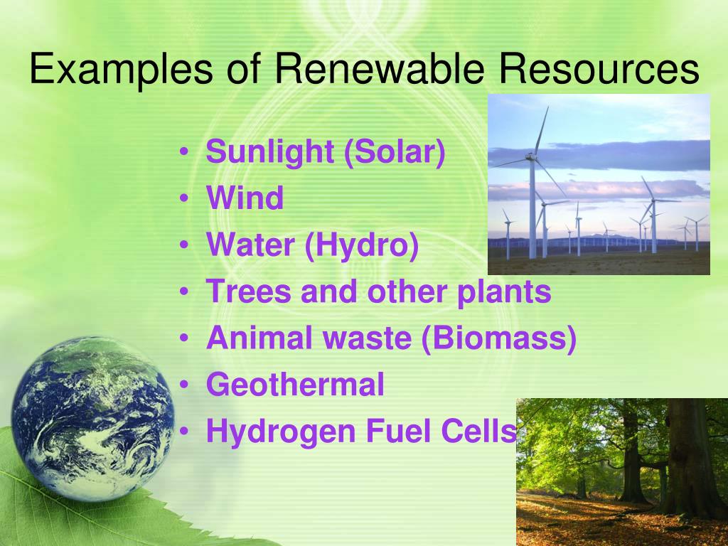 PPT Natural Resources & Energy Conservation PowerPoint Presentation
