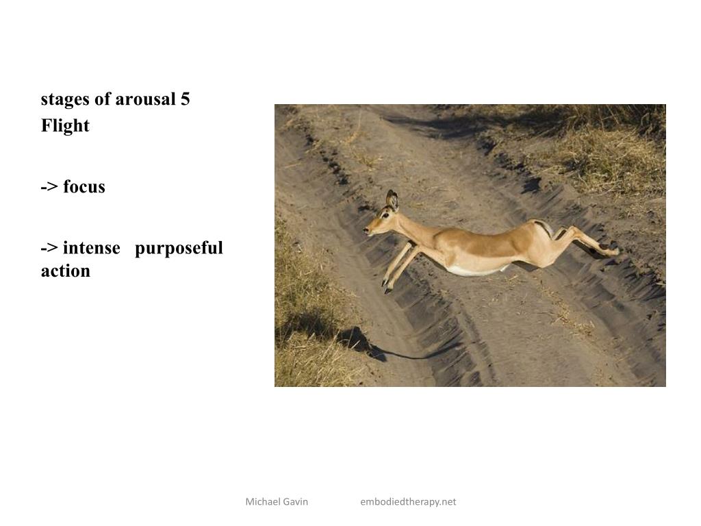 PPT Facing Trauma PowerPoint Presentation, free download ID6506591