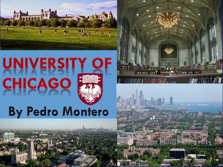PPT University Of Chicago PowerPoint Presentation, free download ID6507634