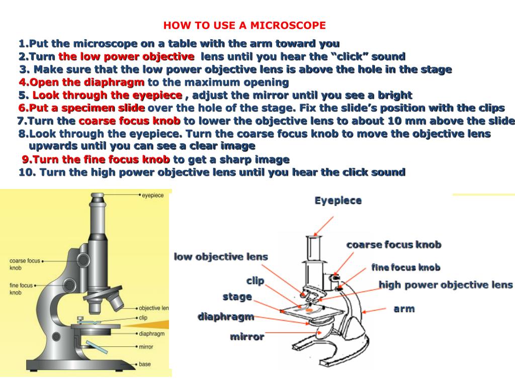 PPT DAY PowerPoint Presentation, free download ID6508428
