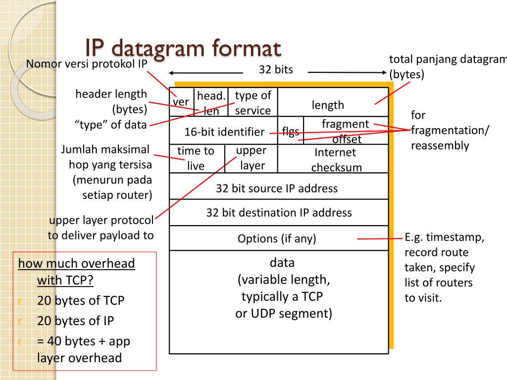 PPT Network Layer PowerPoint Presentation, free download ID6516912