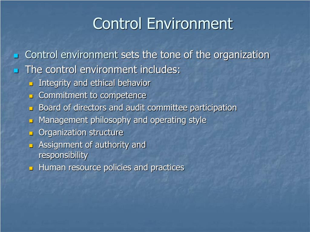 PPT Enterprise System and Risk Controls PowerPoint Presentation, free