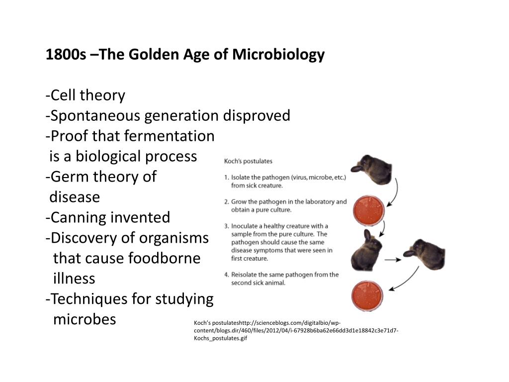 PPT Introduction to food microbiology PowerPoint Presentation, free