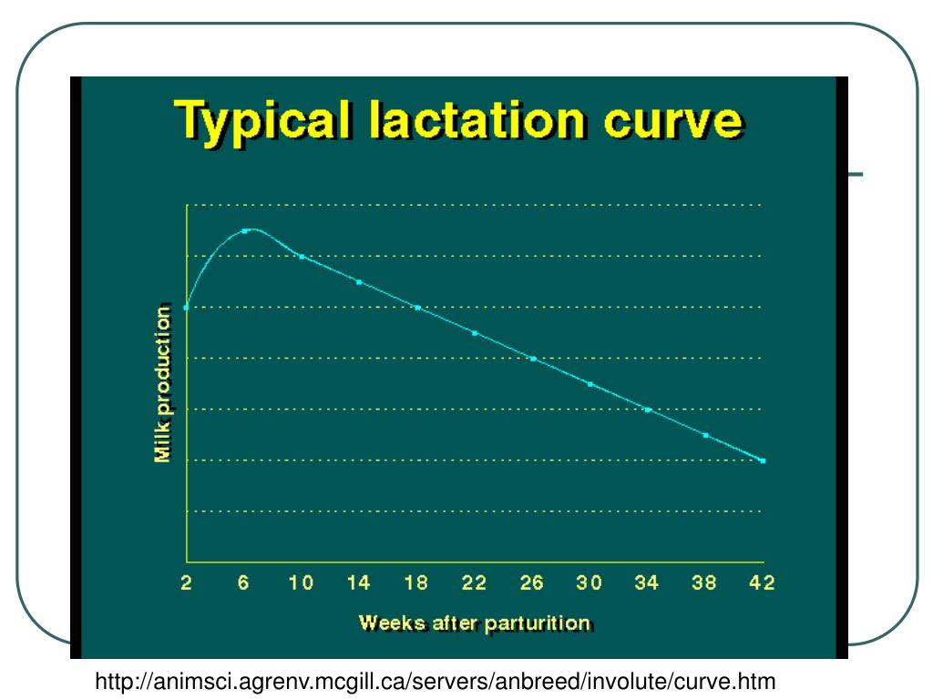 PPT Lactation Curve PowerPoint Presentation, free download ID6520845