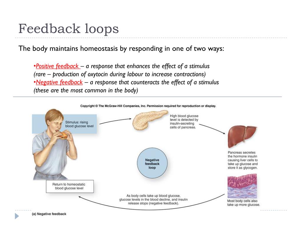 PPT Stimulus and Response PowerPoint Presentation, free download ID