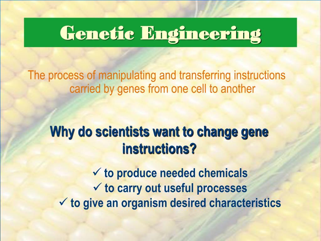 PPT Plant Engineering PowerPoint Presentation, free download