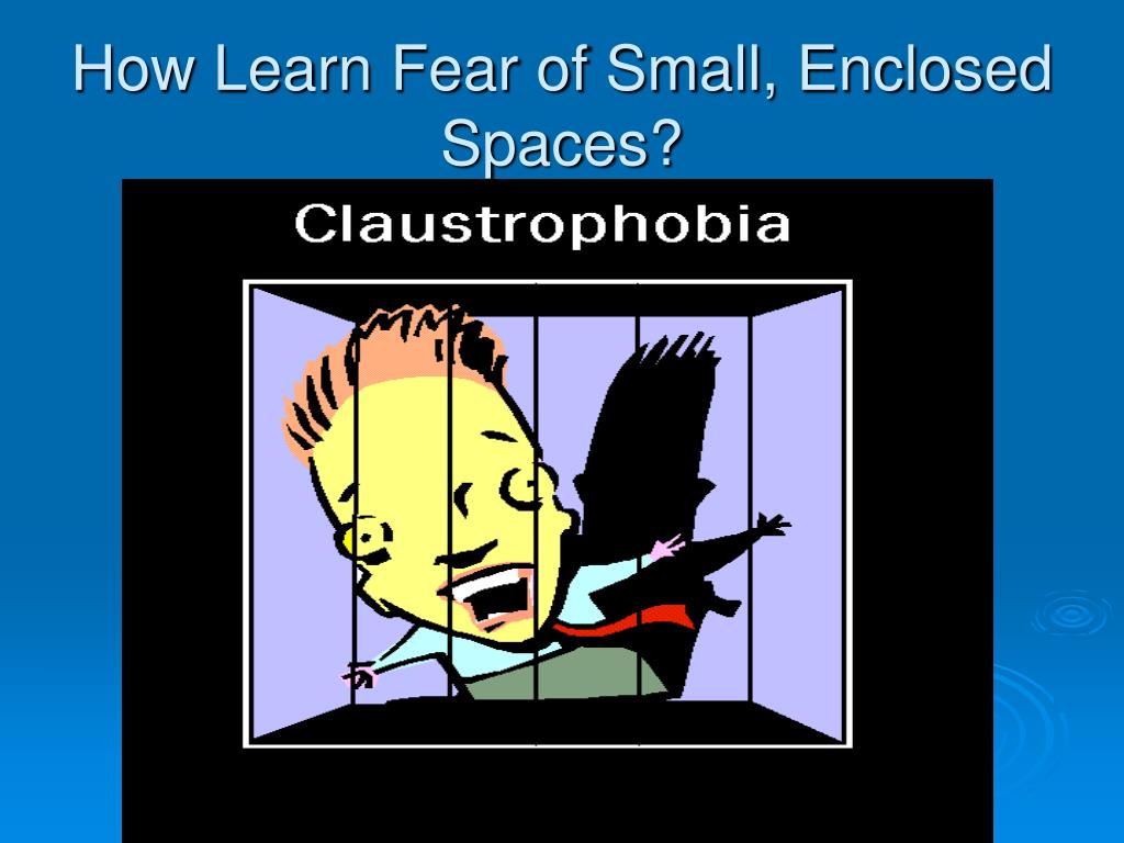 Web phobia refers to an extreme or irrational fear of certain situations, objects, place, thing, or people. This fear is very common and generally exists because the individual can feel trapped in close quarters. PPT How We Learn from Experience PowerPoint Presentation, free
