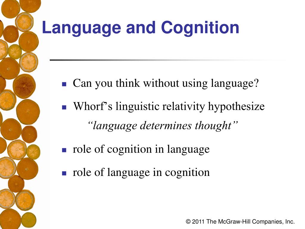 PPT Chapter 8 Thinking, Intelligence, and Language PowerPoint