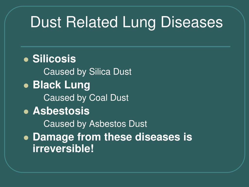PPT Respirators and Dust Hazards PowerPoint Presentation, free