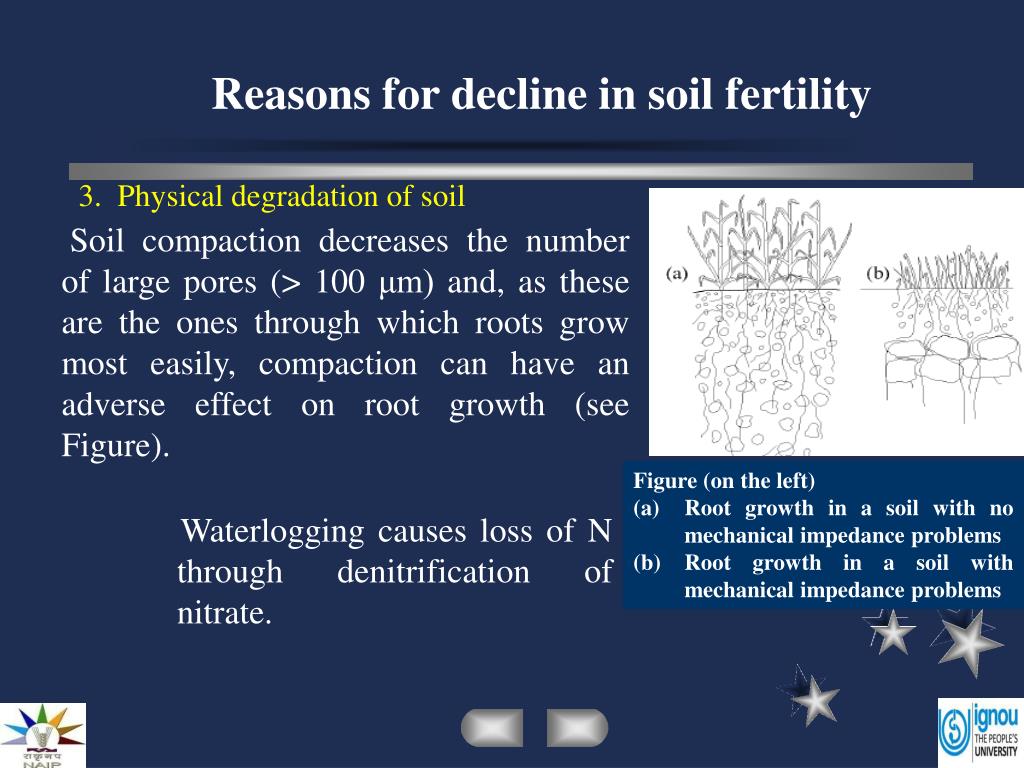 PPT Reasons for decline in soil fertility PowerPoint Presentation, free download ID6531209