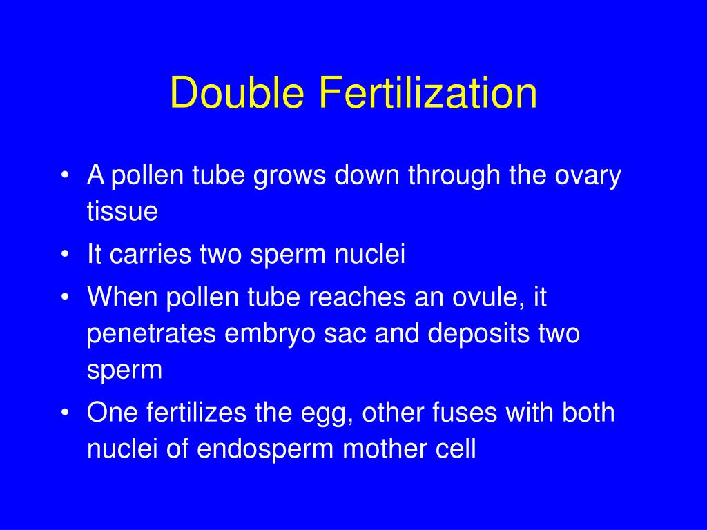 PPT Plant Reproduction PowerPoint Presentation, free download ID6532770